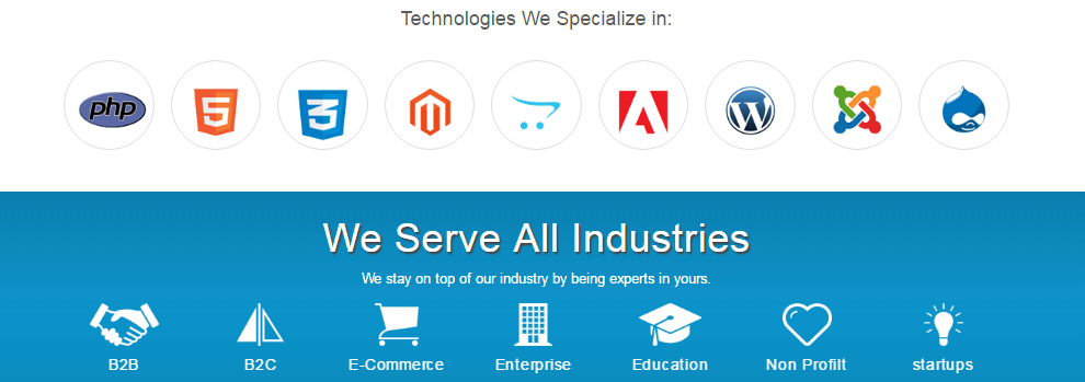 Ecommerce Website Design Development Services Company Delhi India